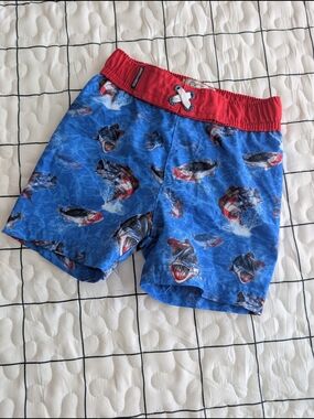 Fish Swim Trunks